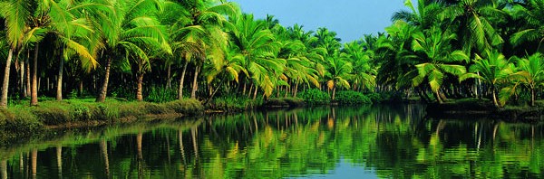 kerala travel destination